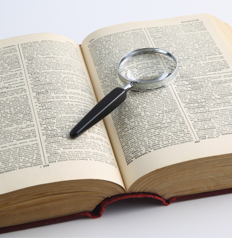 Découvrez le parcours de Max Favalelli, créateur de mots croisés, juge emblématique de Des chiffres et des lettres et passionné de langue française.